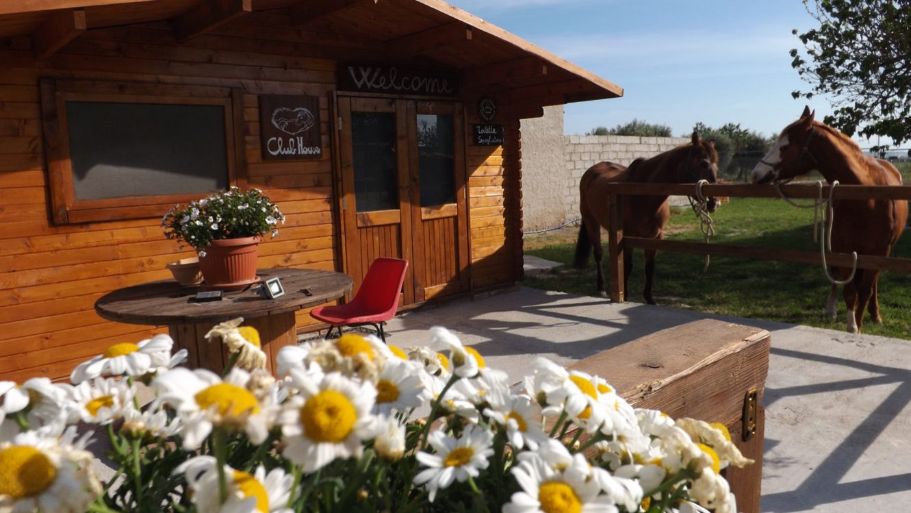 green-project-onlus-11