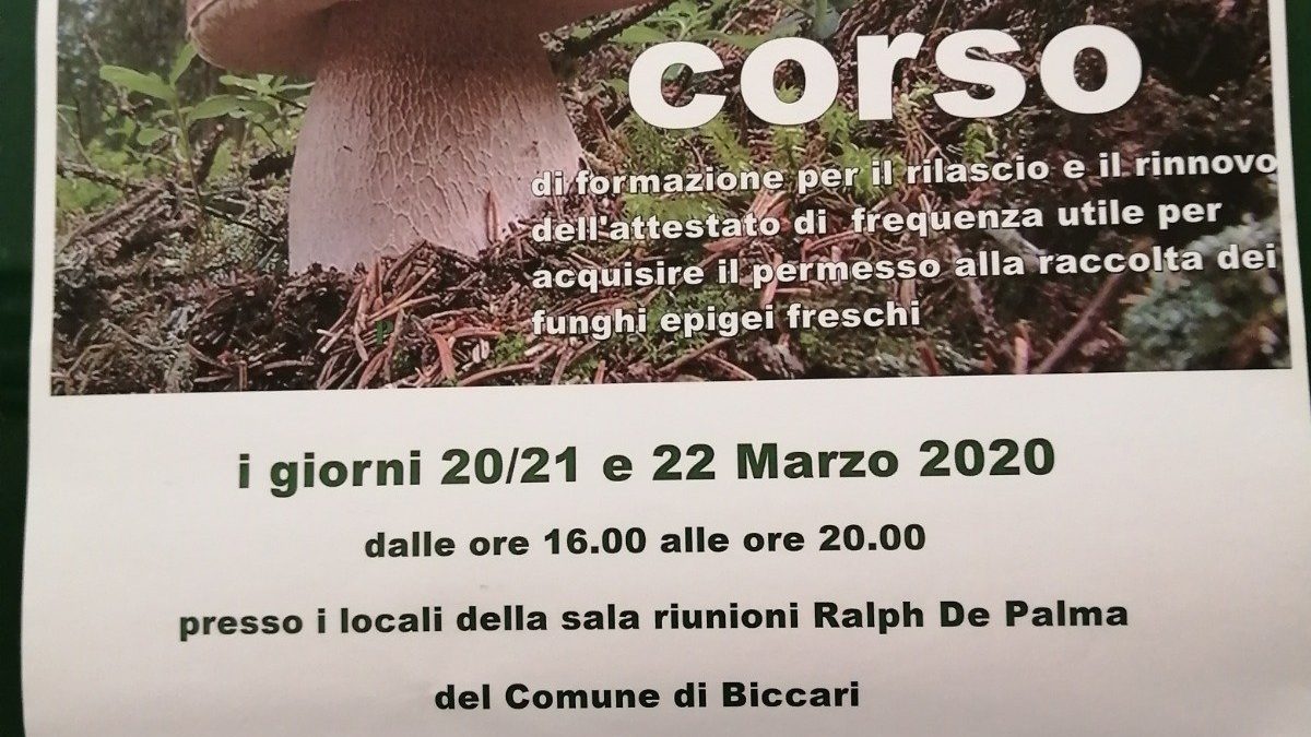 biccari-corso-funghi