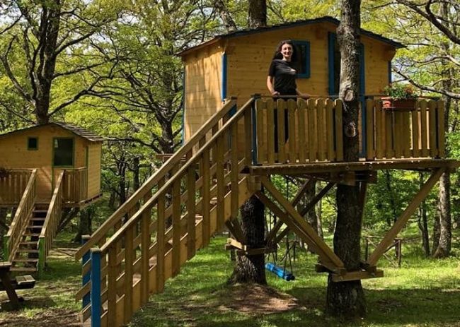 Giornalisti-e-blogger-dormono-sugli-alberi-e-in-bubble-room.jpeg