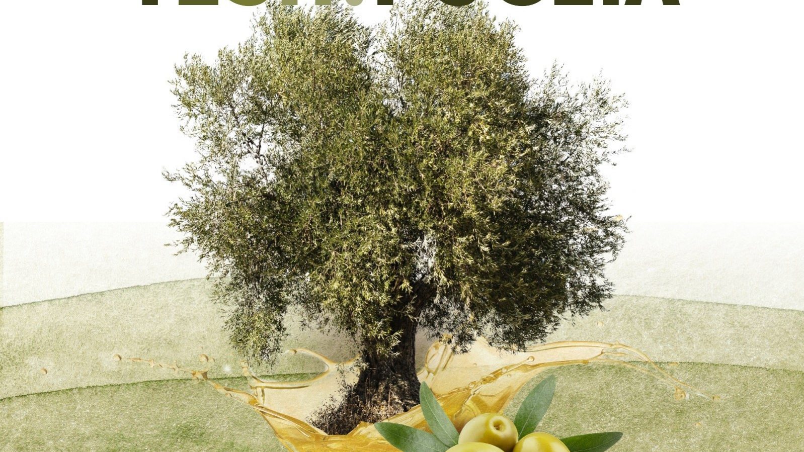 ViviCastellanaGrotte-Citta-dellOlio-Puglia-protagonista-alle-Settimane-di.jpeg