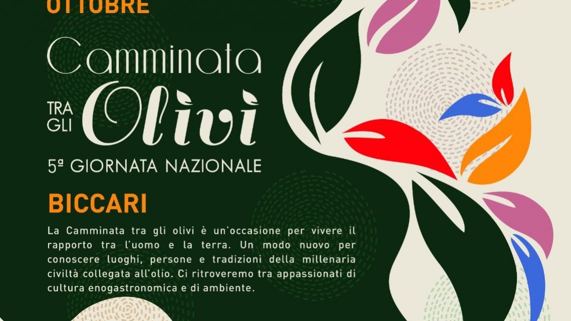 24-ottobre-biccari-camminata-negli-olivi