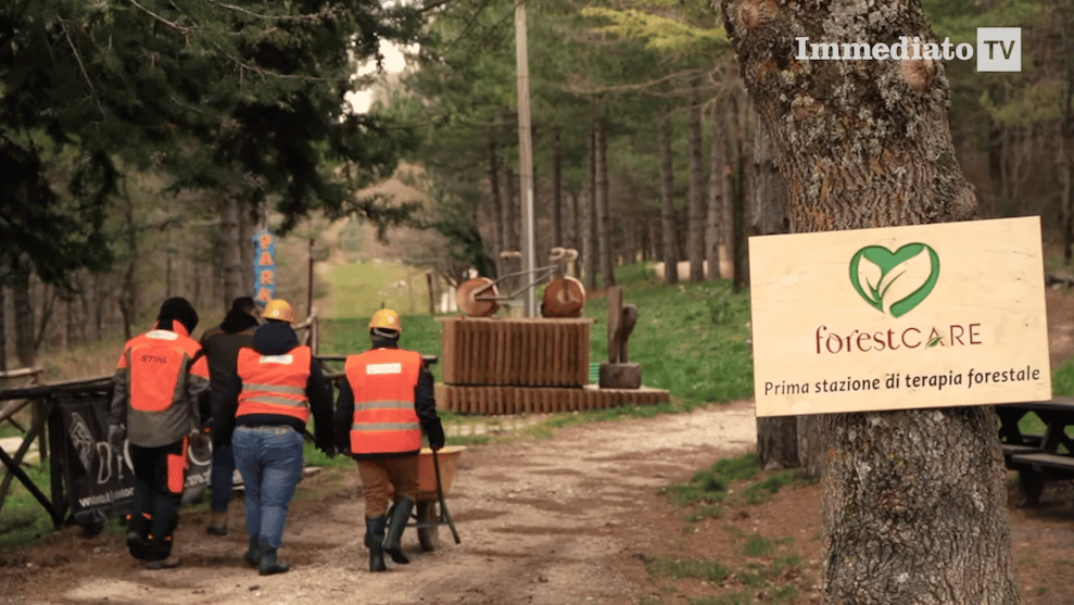 Prende-vita-nel-Foggiano-la-prima-Stazione-di-Terapia-Forestale-in.png