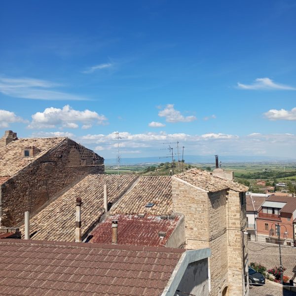Casa 28 - Via Porta Pozzi - immagine 7