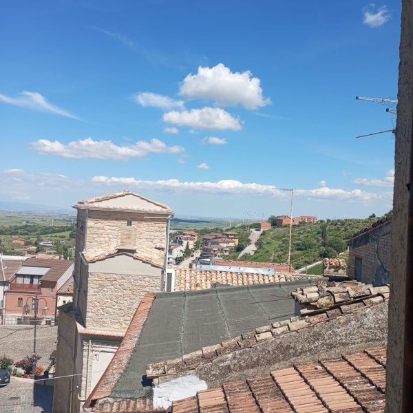 Casa 28 - Via Porta Pozzi - immagine 6