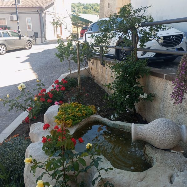 House 30 - Via Fuori Porta Pozzi - Image 2