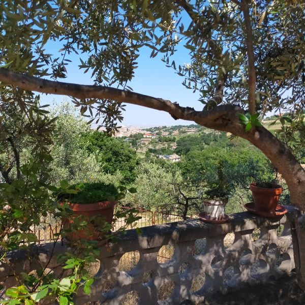 House 32 - Contrada Costa Bona - Image 4