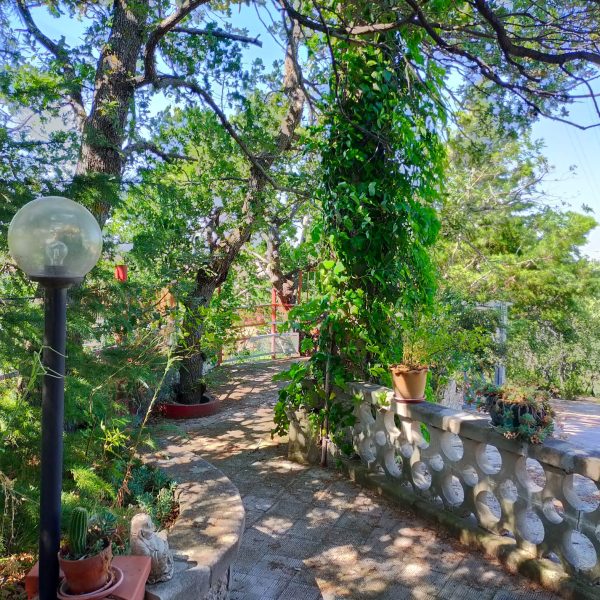 House 32 - Contrada Costa Bona - Image 11